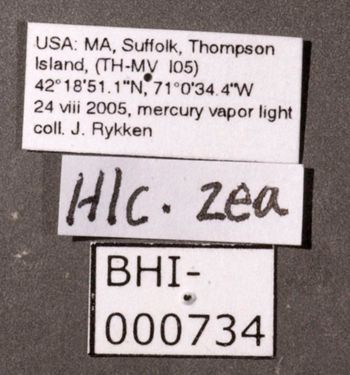 Media type: image;   Entomology 622487 Aspect: labels